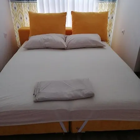 студио ели - 普罗夫迪夫