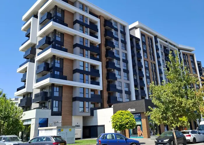 студио ели - * 普罗夫迪夫